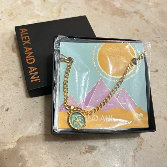 Alex and Ani Color Infusion 18" Ankh Necklace - Picture 5 of 15